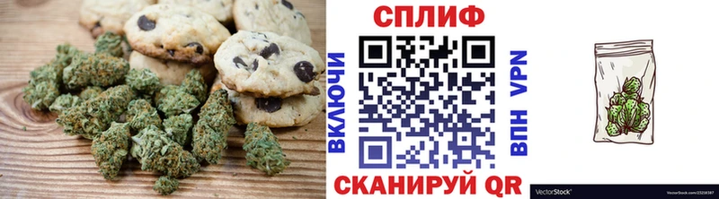 Canna-Cookies марихуана  цены   Тында 